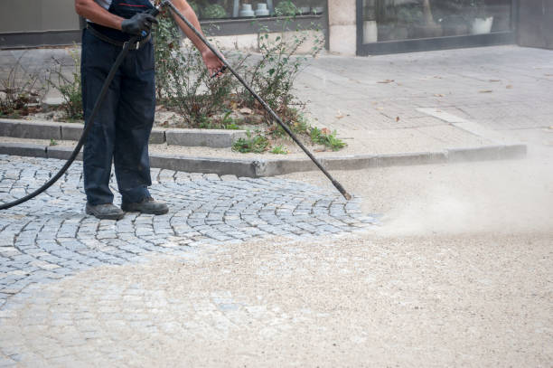 Best Animal Enclosure Cleaning  in Somerville, NJ